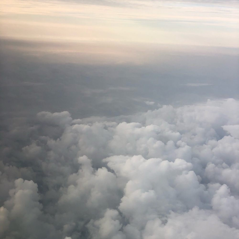 Meet your Posher, Ximena